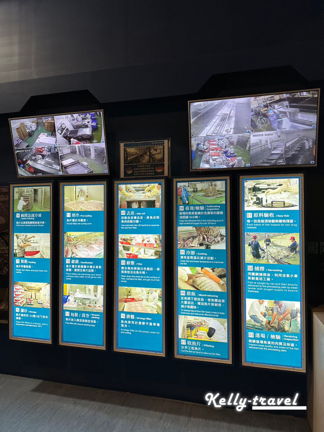 全台第1家國寶魚觀光工廠，雲林景點推薦台灣鯛生態創意園區，3D立體彩繪一日遊
