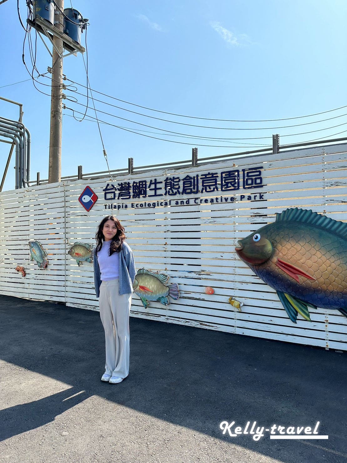 全台第1家國寶魚觀光工廠，雲林景點推薦台灣鯛生態創意園區，3D立體彩繪一日遊