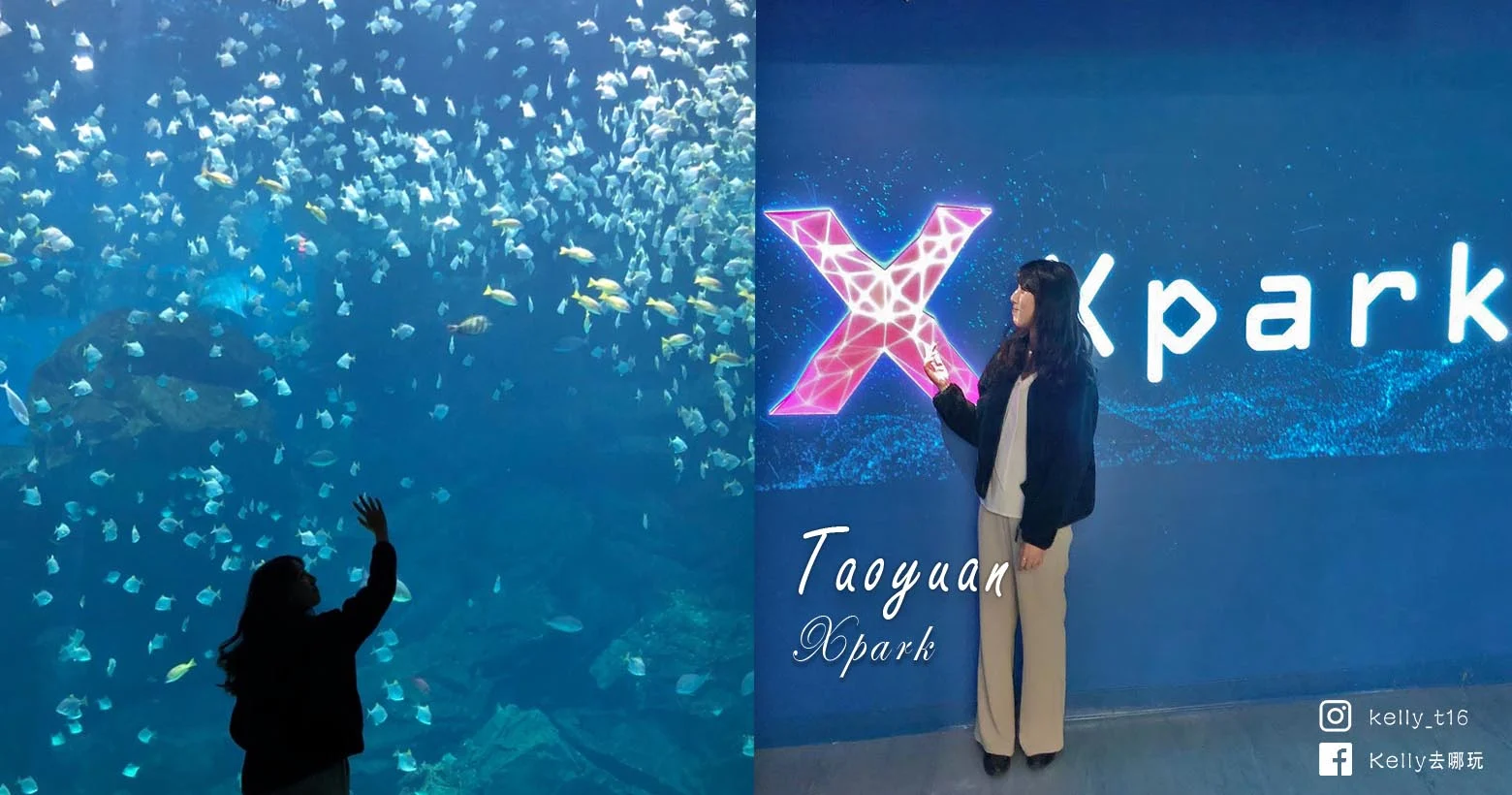 Read more about the article 桃園景點推薦，夢幻水母牆、企鵝溜滑梯，Xpark水族館10大必看攻略！