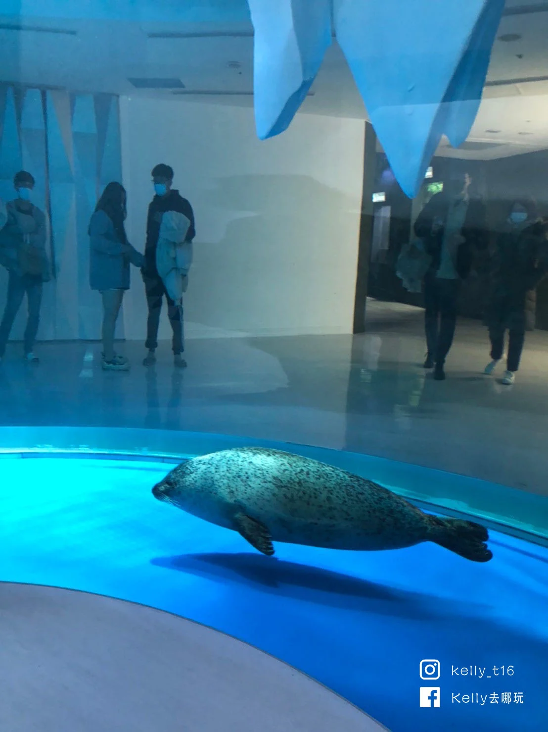 桃園景點推薦，夢幻水母牆、企鵝溜滑梯，Xpark水族館10大必看攻略！