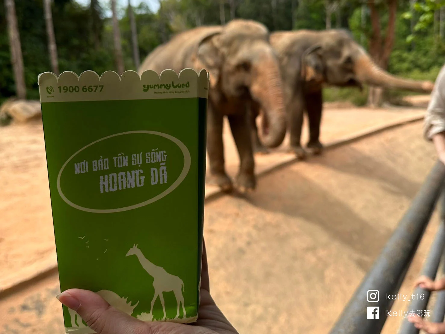 5分鐘攻略！富國島動物園Safari必體驗，餵長頸鹿、免費搭動物巴士、百鳥秀、最佳路線懶人包