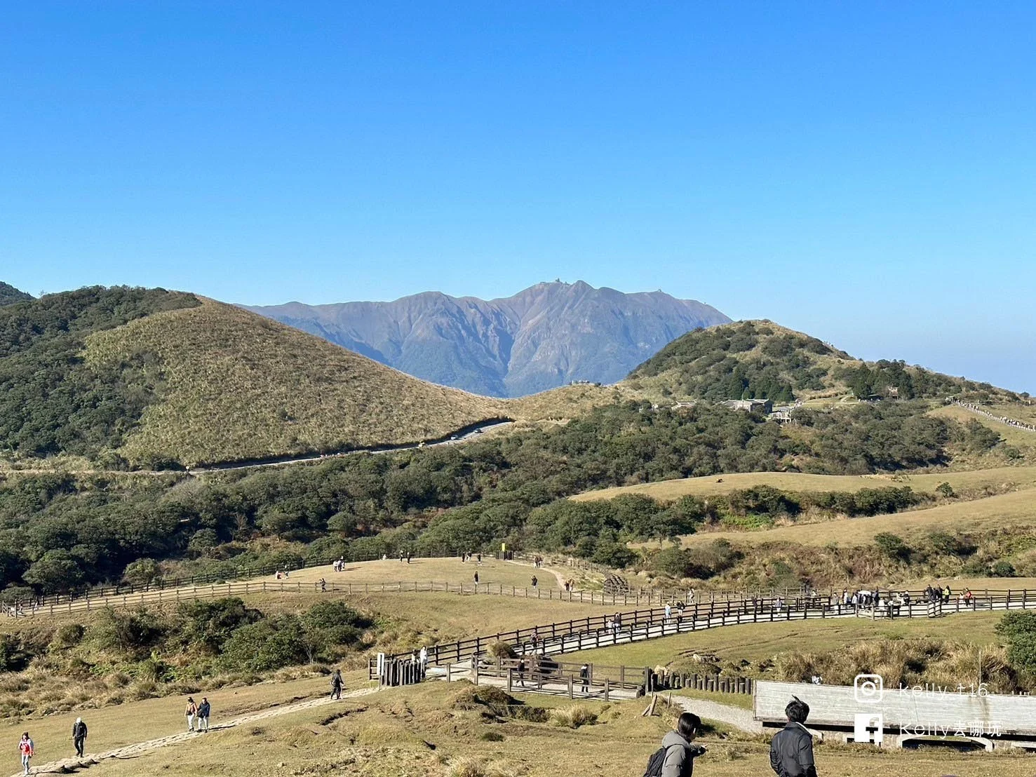 台北人祕境，陽明山擎天崗攻略！免門票、牛群大草原，療癒美景大公開