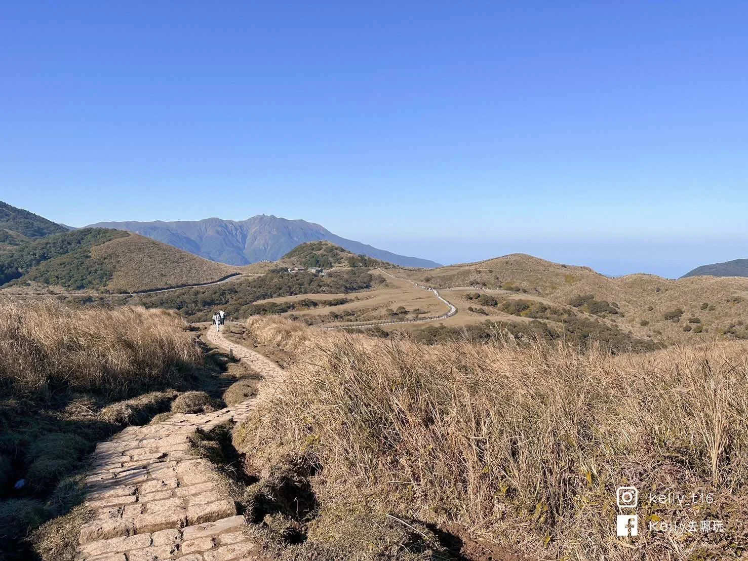 台北人祕境，陽明山擎天崗攻略！免門票、牛群大草原，療癒美景大公開