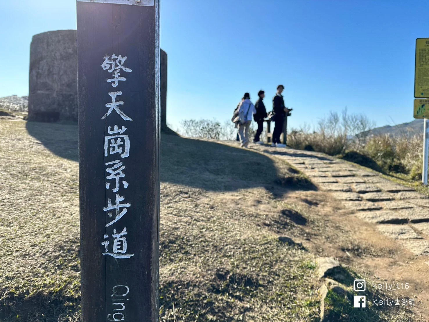 台北人祕境，陽明山擎天崗攻略！免門票、牛群大草原，療癒美景大公開