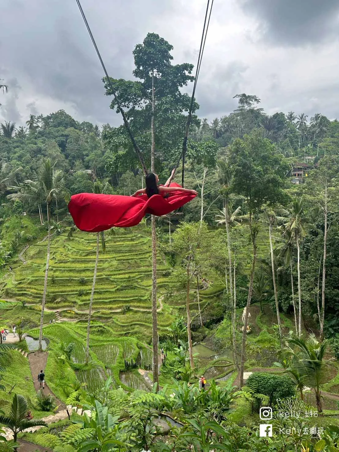 Line Album 202637 260307 12